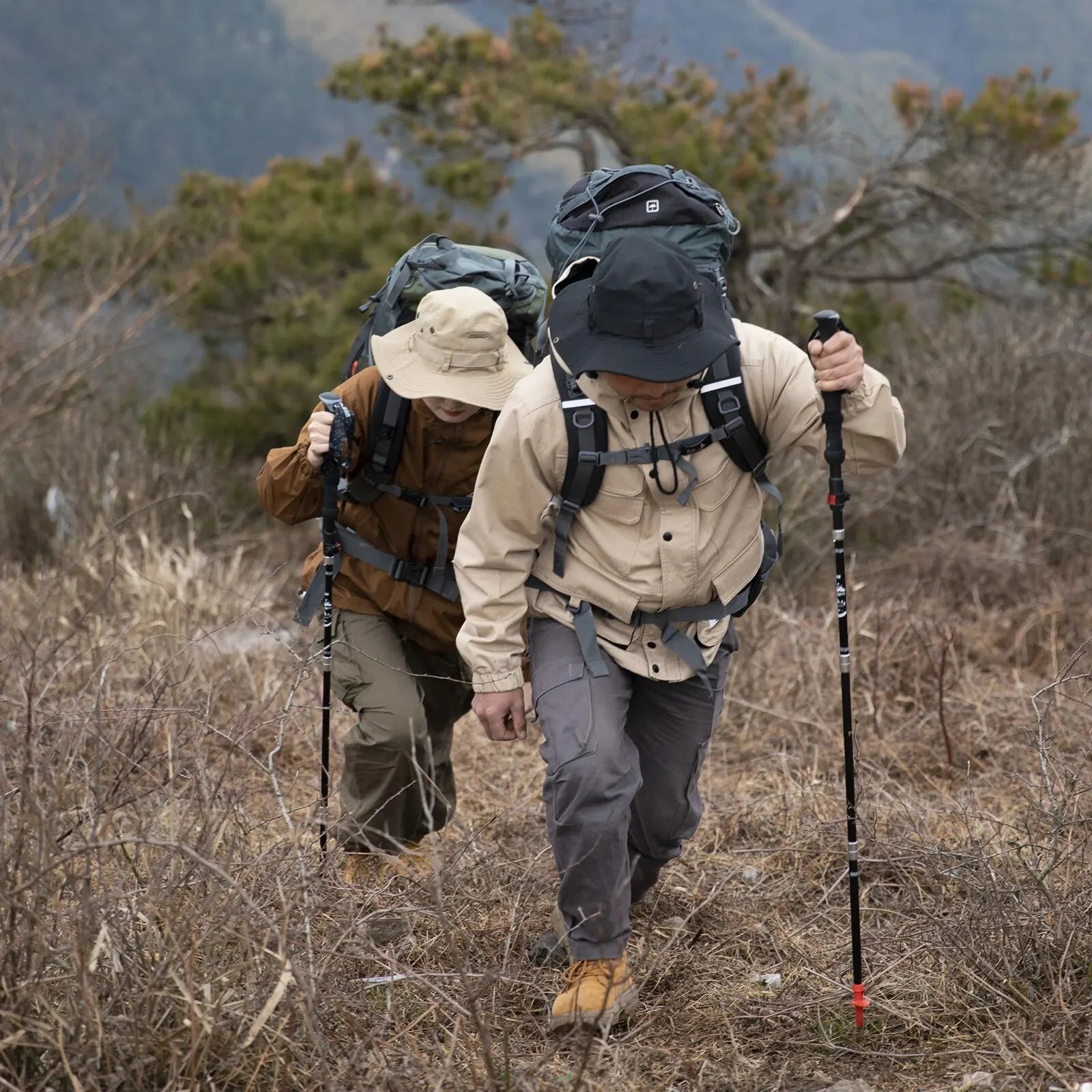 Folding Trekking Poles